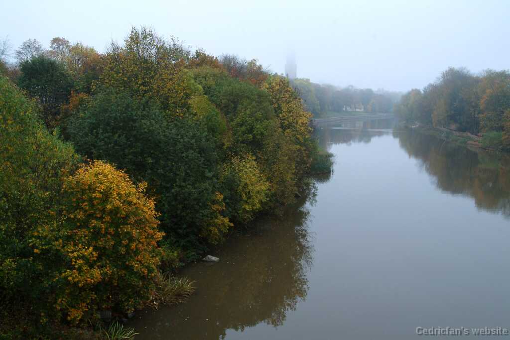DSCF0993