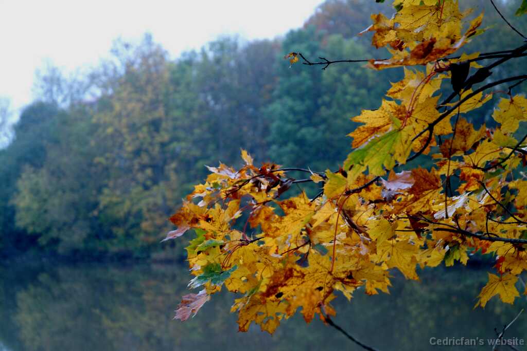 DSCF0998