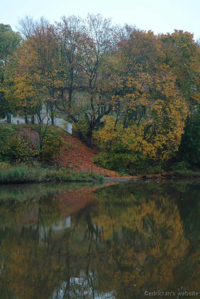 DSCF1000