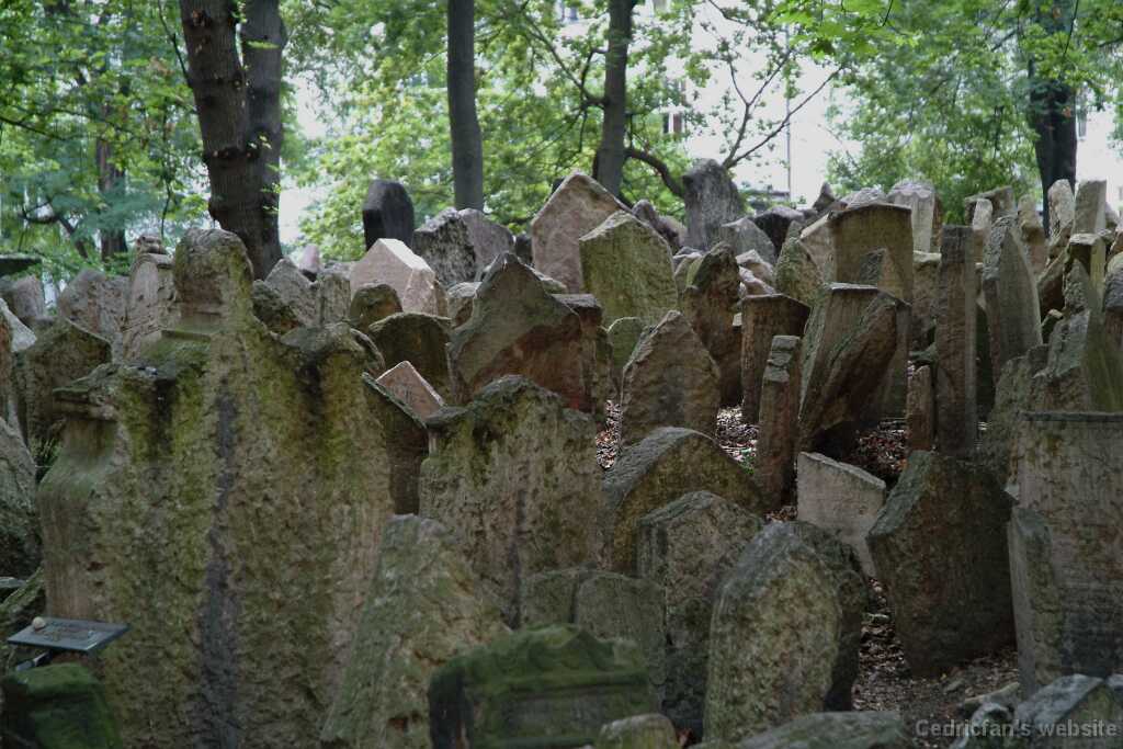 DSCF0394