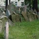 DSCF0378