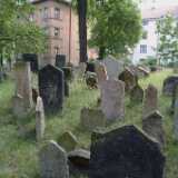 DSCF0379