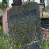 DSCF0382