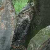 DSCF0384
