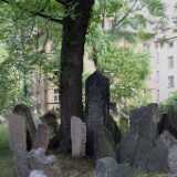 DSCF0385