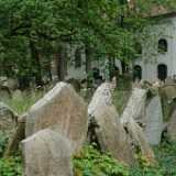 DSCF0390
