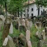 DSCF0391