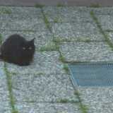 DSCF0217