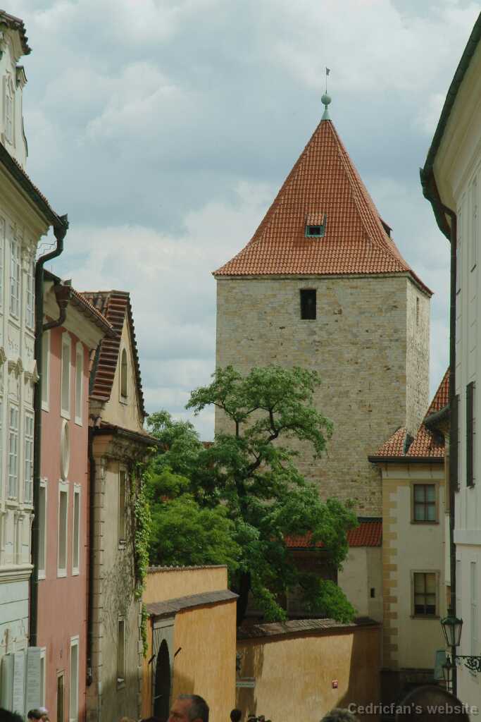 DSCF0291