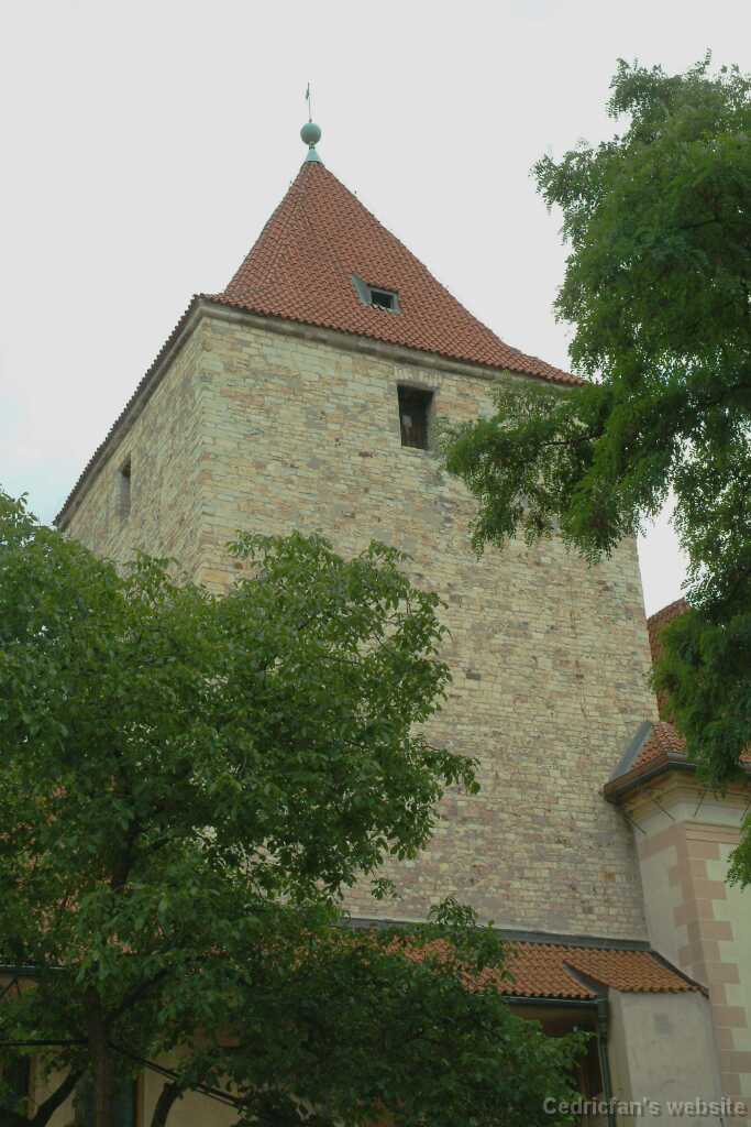DSCF0293
