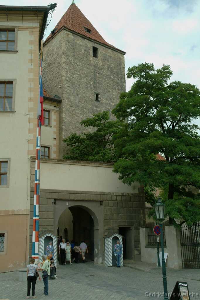 DSCF0336