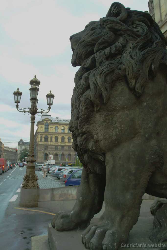 DSCF0375
