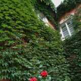 DSCF0472