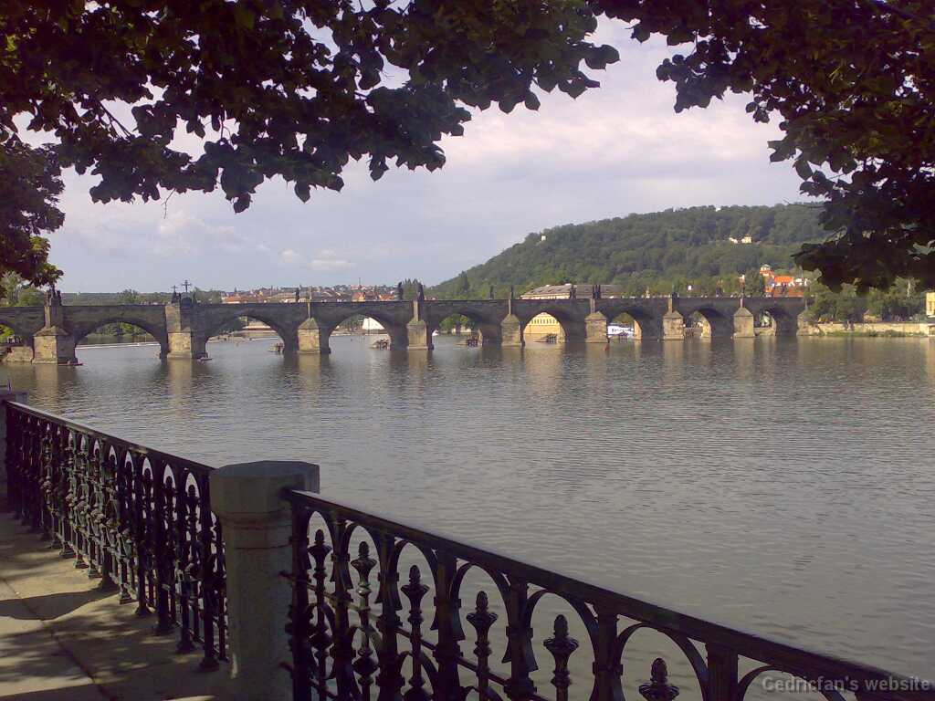17062007014
