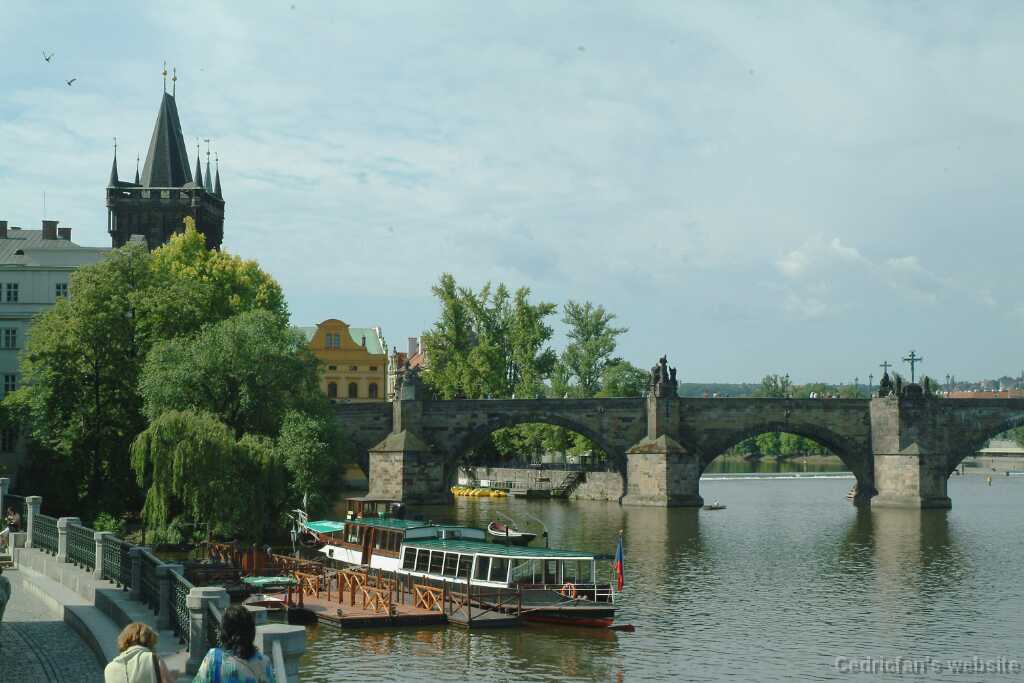 DSCF0251