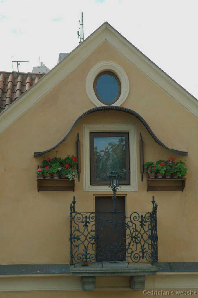 DSCF0263