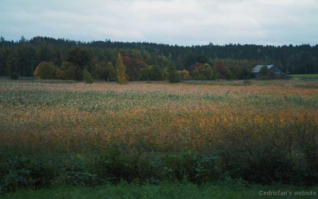 DSCF0831