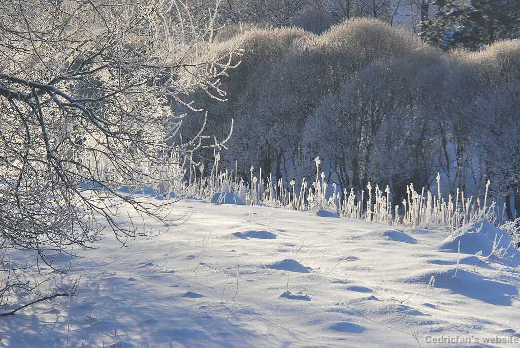 DSC_1520