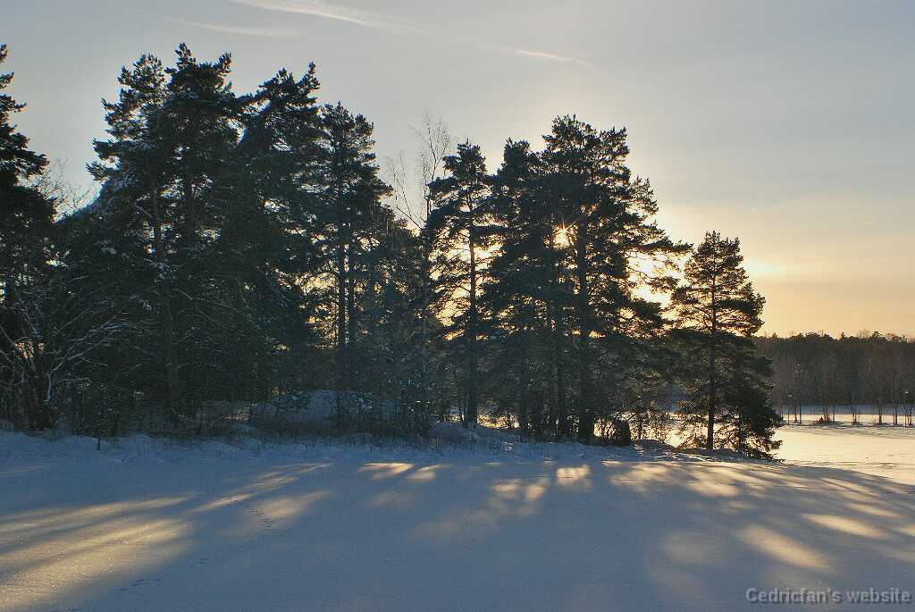 DSC_1535