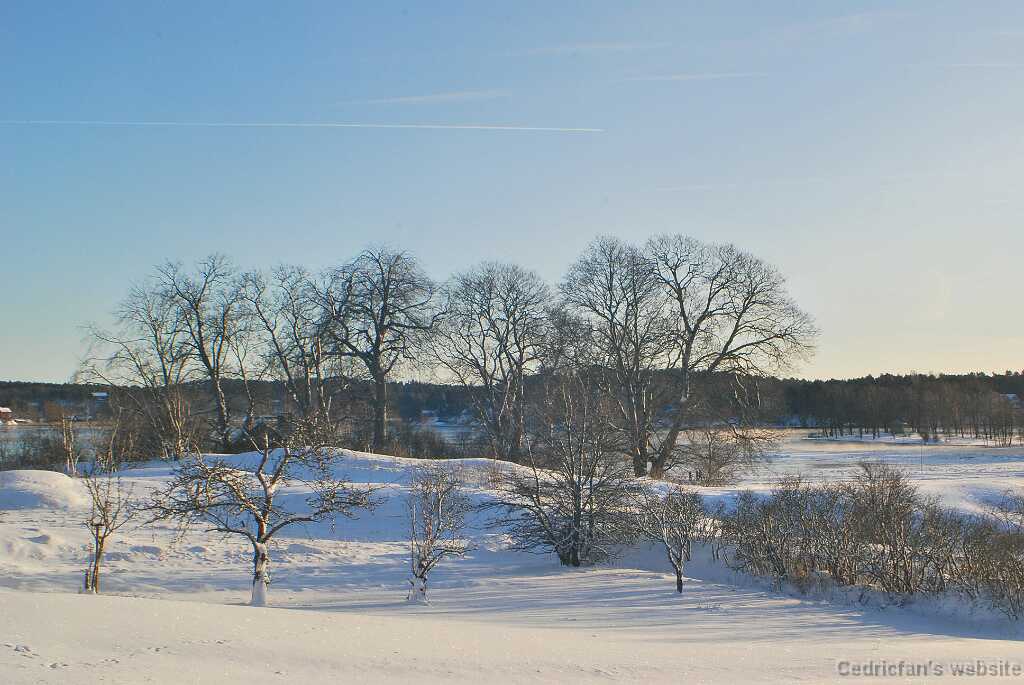 DSC_1552