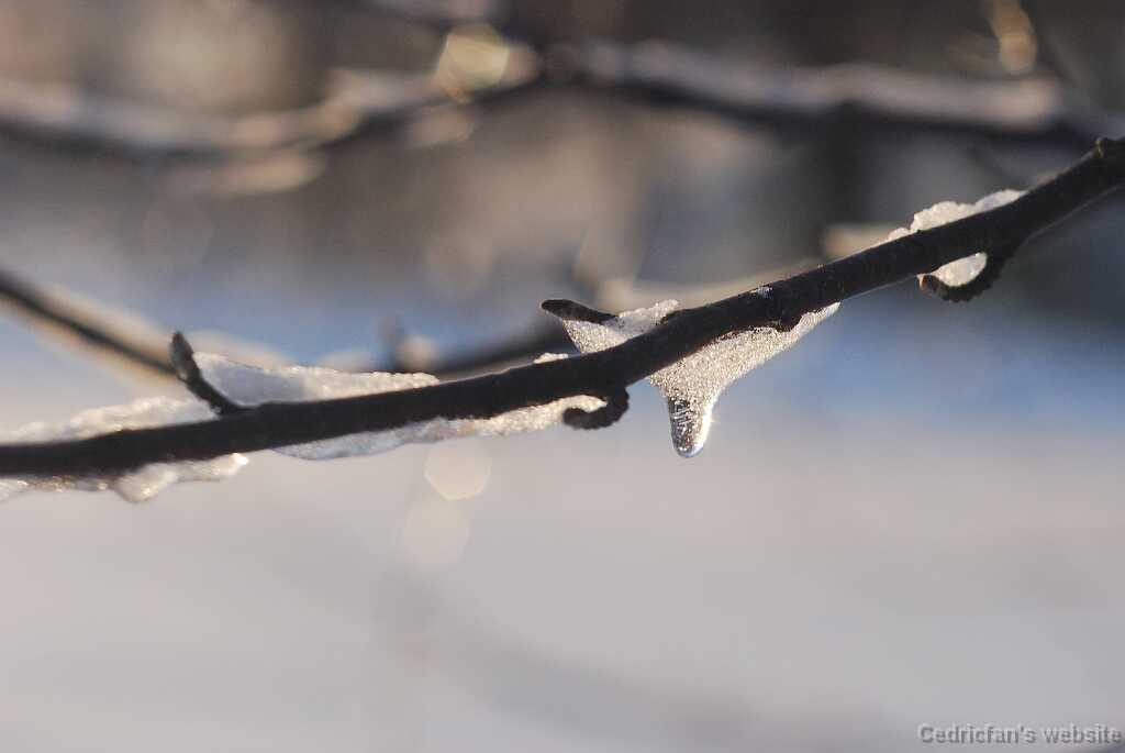 DSC_1615