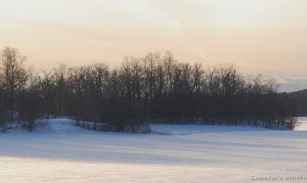 DSC_1620