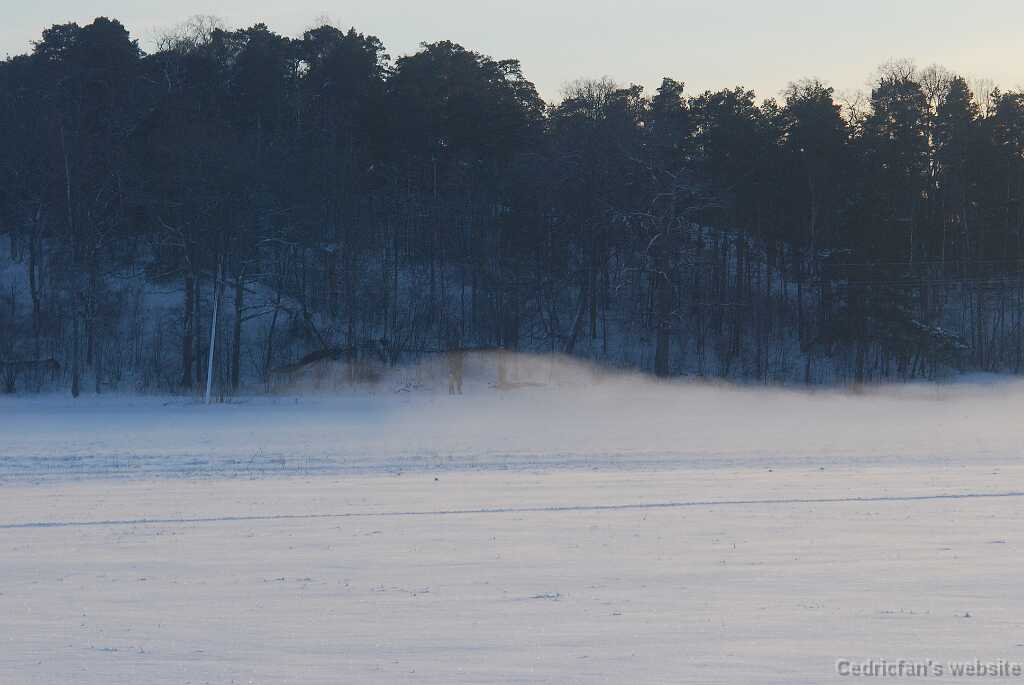 DSC_1626