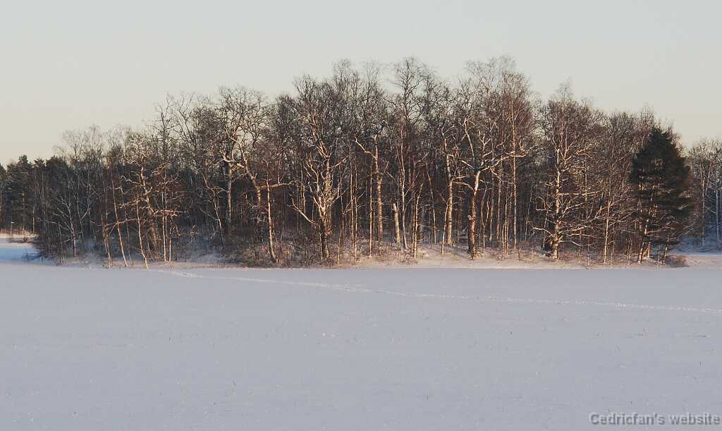 DSC_1637