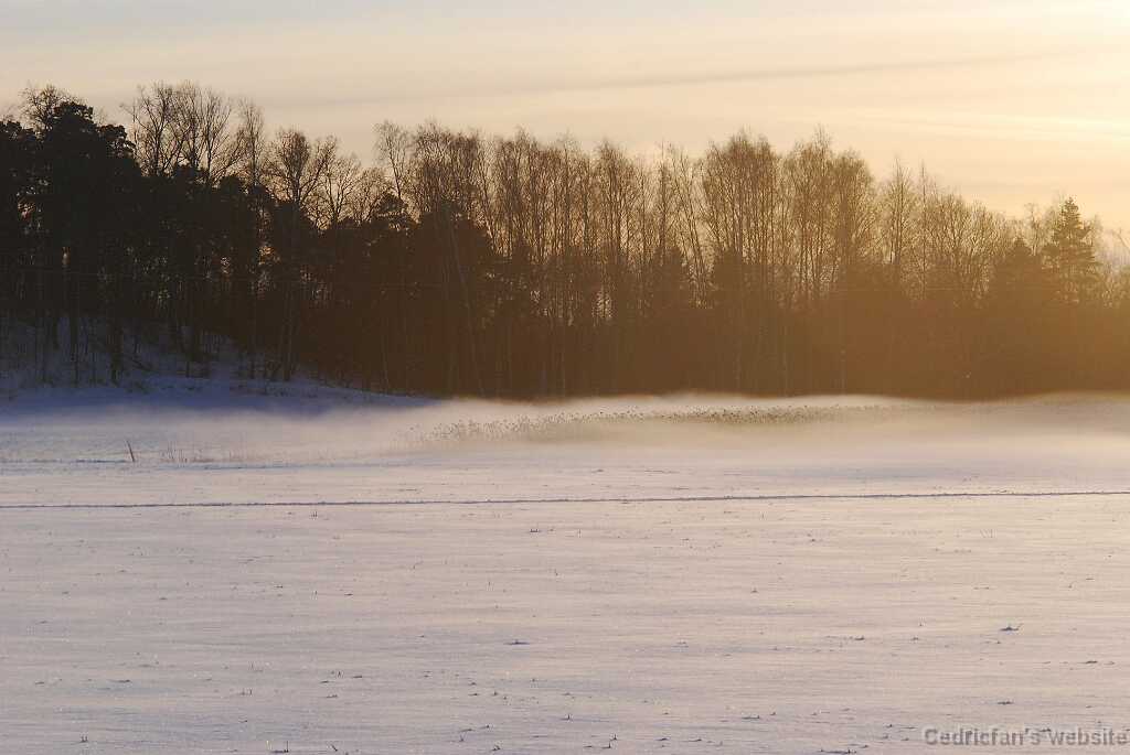 DSC_1641