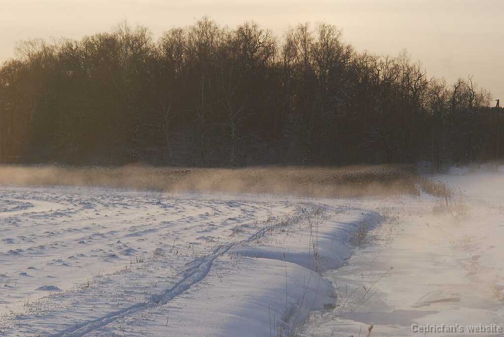 DSC_1647