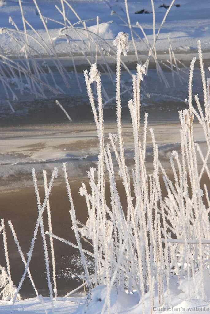 DSC_1370