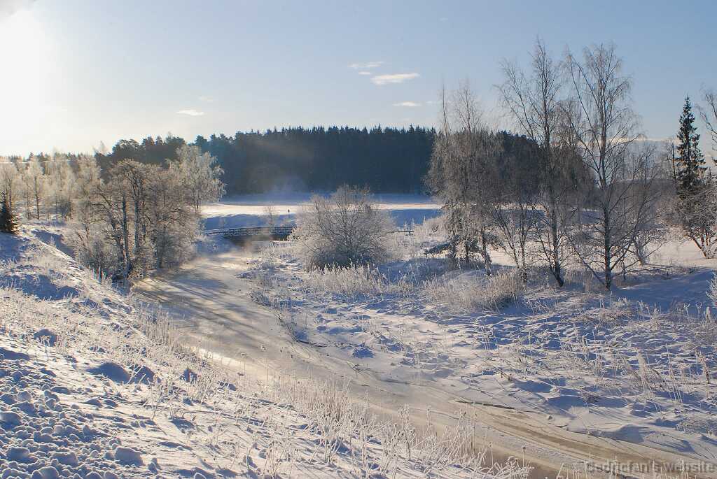 DSC_1481