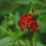 DSCF0570