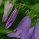 DSCF0584
