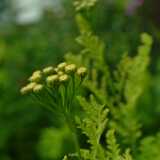 DSCF0628
