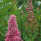 DSCF0634