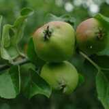 DSCF0640