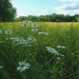 DSCF0706