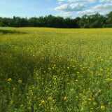 DSCF0709