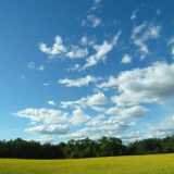 DSCF0711