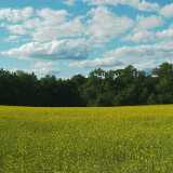 DSCF0716