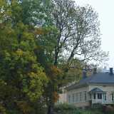 07 Oct Autumn 2