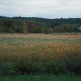 07 Sept Autumn