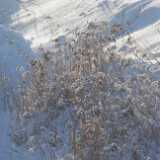 07 Snow in January