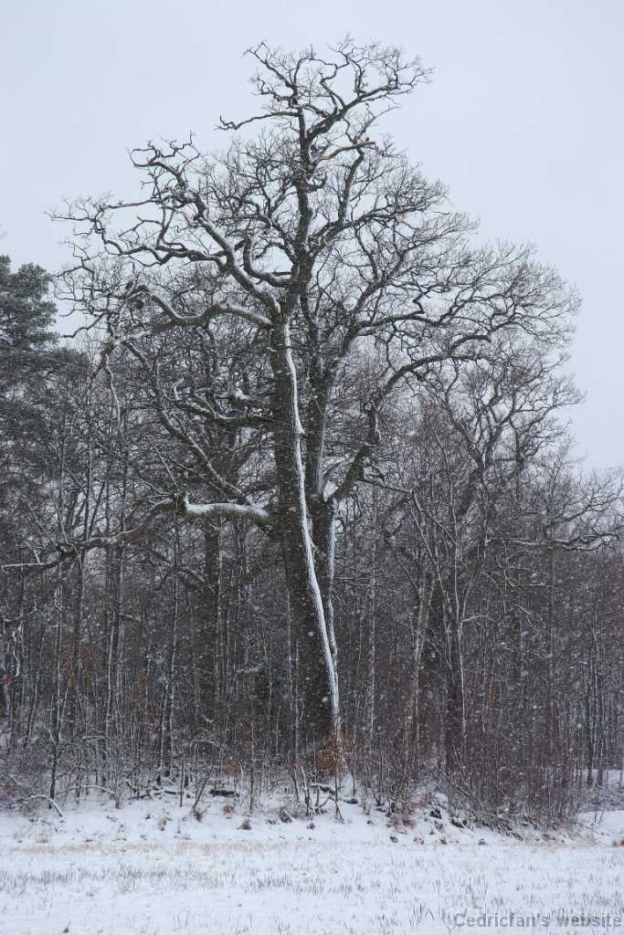 DSCF0484
