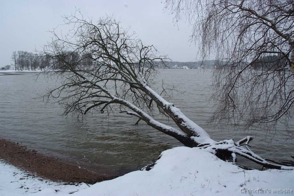 DSCF0492