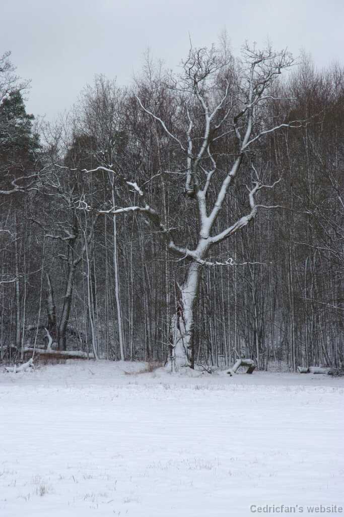 DSCF0507