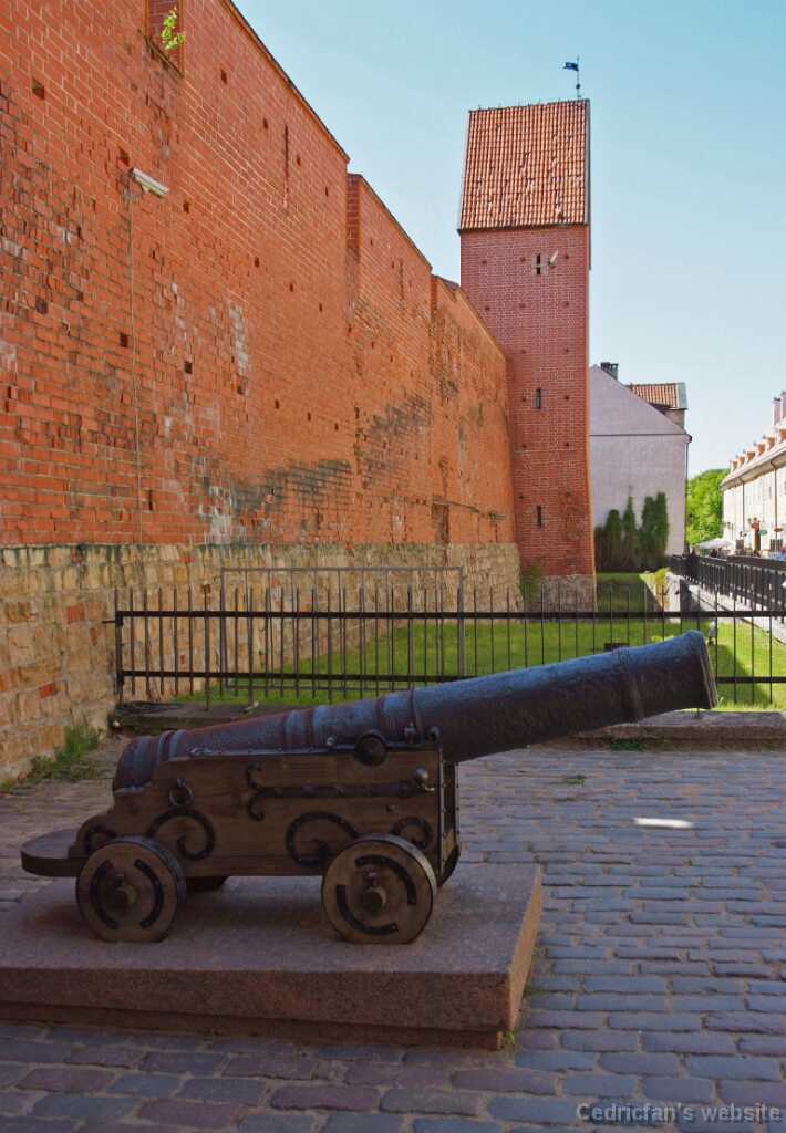 DSCF1917