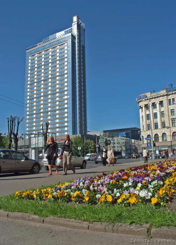 DSCF1951