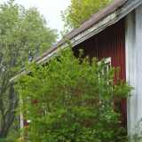DSCF1613